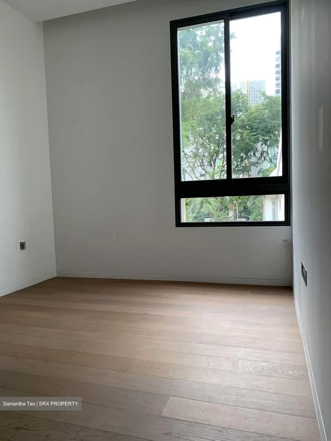 10 Evelyn (D11), Apartment #610707211